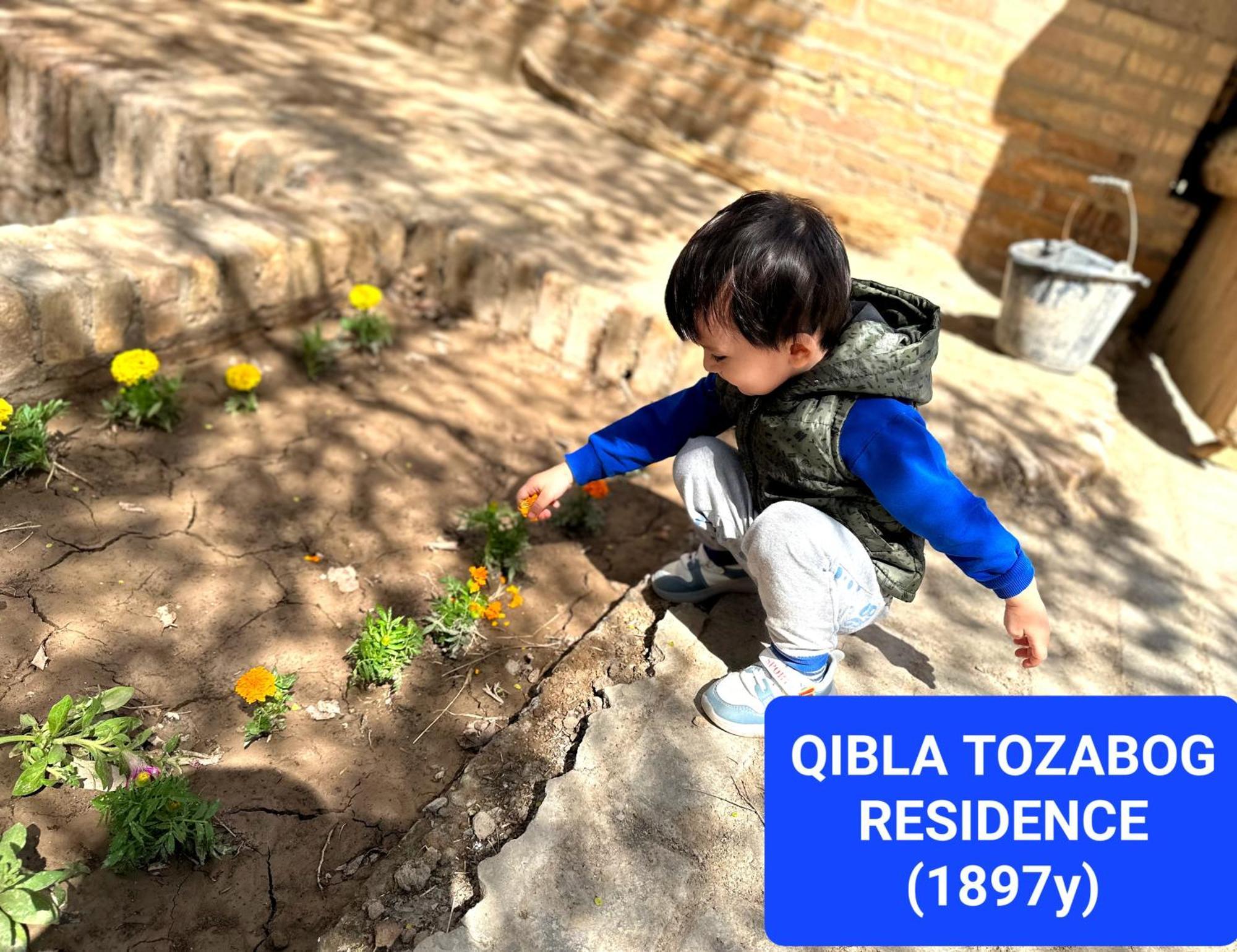 希瓦 Qibla Tozabog酒店 外观 照片